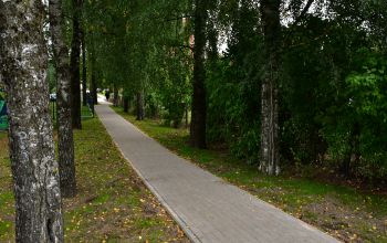 Taciņas labiekārtošana