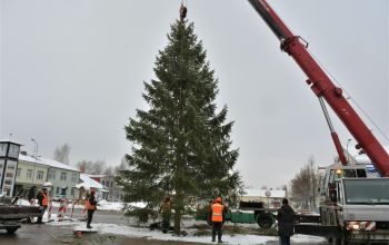 Uzstādīta galvenā Ziemassvētku egle