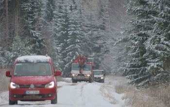 Uzstādīta galvenā Ziemassvētku egle