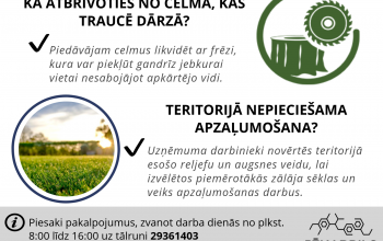 Celmu frēzēšana un teritoriju apzaļumošana