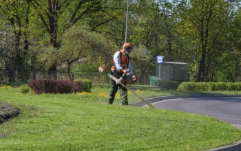 2018. gadā SIA “Jēkabpils pakalpojumi” noslēguši līgumu ar Jēkabpils pilsētas pašvaldību par zāles pļaušanu