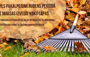 No 23. oktobra Jēkabpils pakalpojumi rudens periodā bez maksas izvedīs koku lapas.