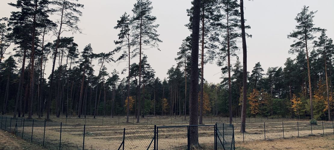  Jēkabpils dzīvnieku kapsēta no 1.oktobra uzsāk darbību