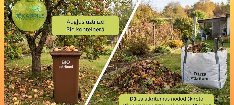 Augļu ražas laikā svarīgi izvēlēties pareizo veidu, kā apsaimniekot dārza atkritumus