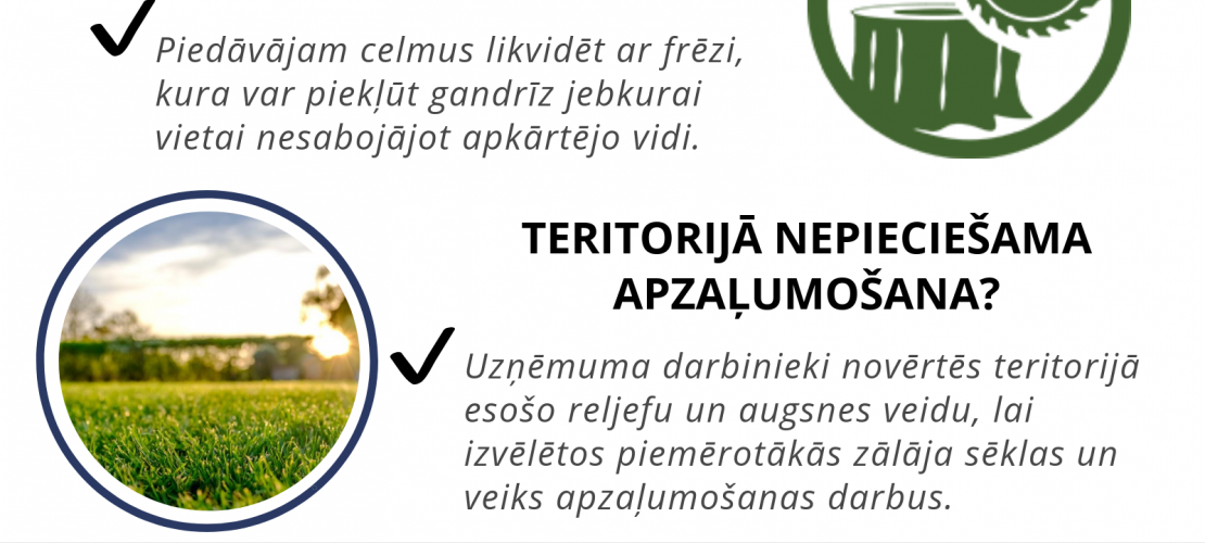 Celmu frēzēšana un teritoriju apzaļumošana