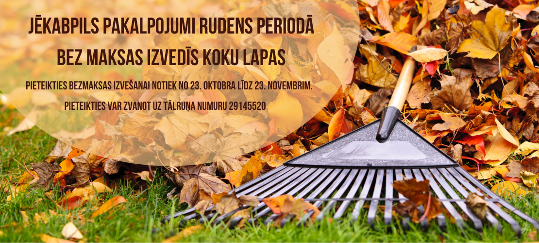 No 23. oktobra Jēkabpils pakalpojumi rudens periodā bez maksas izvedīs koku lapas.